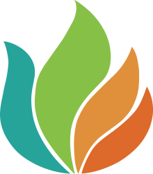 Whole Life Carbon Logo